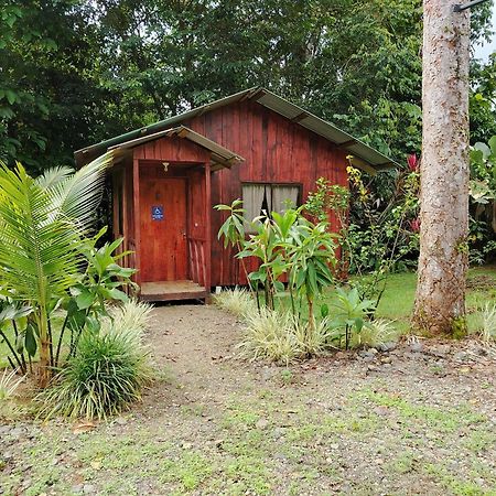 Citronela Lodge Corcovado Drakes Bay Eksteriør bilde