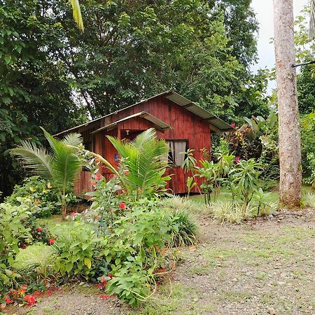 Citronela Lodge Corcovado Drakes Bay Eksteriør bilde