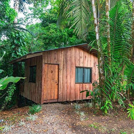 Citronela Lodge Corcovado Drakes Bay Eksteriør bilde