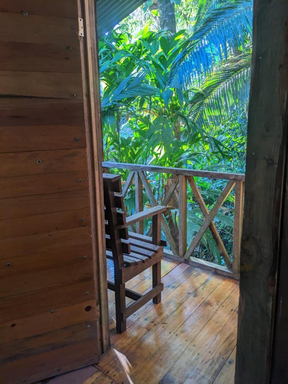 Citronela Lodge Corcovado Drakes Bay Eksteriør bilde