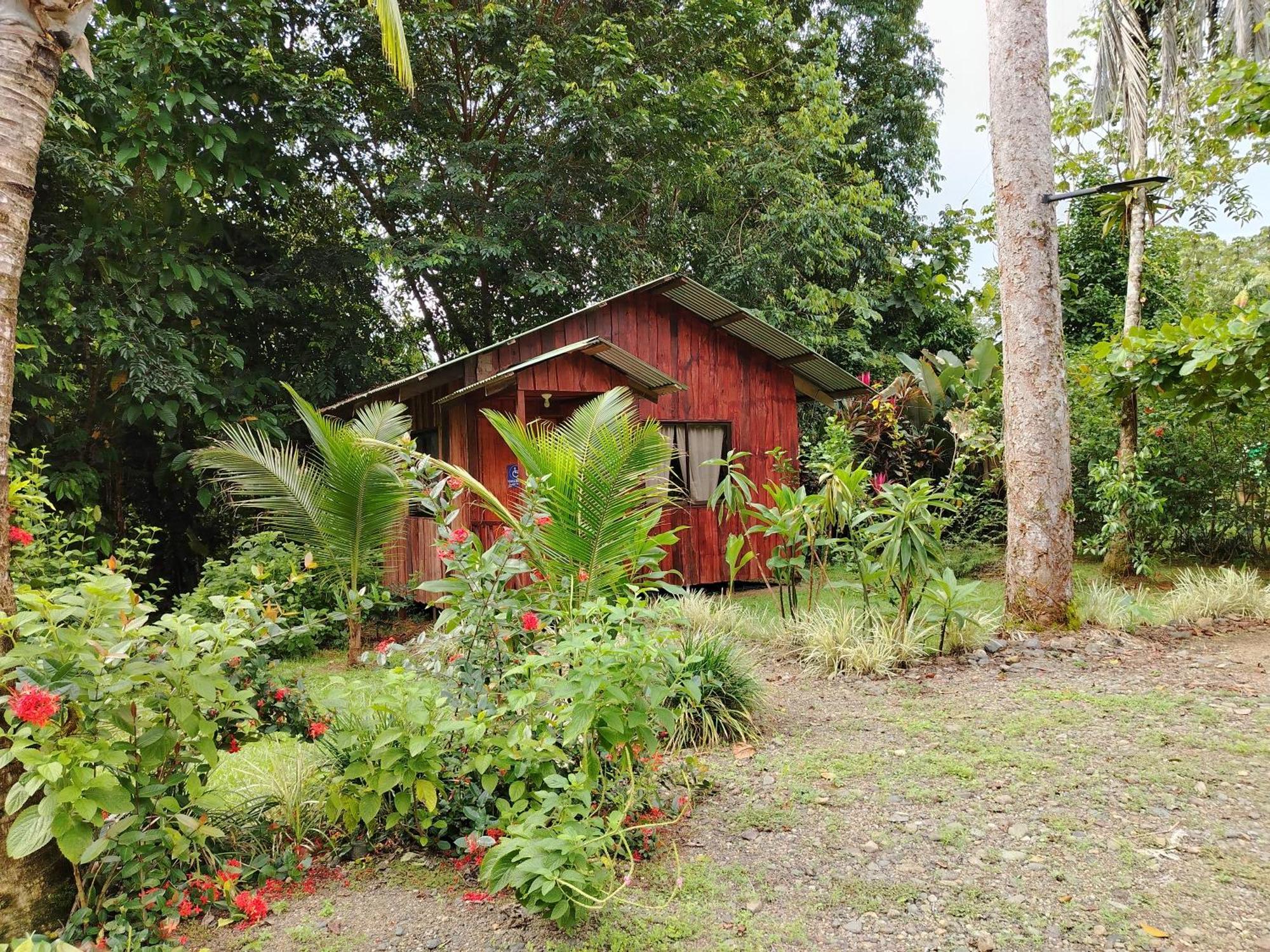 Citronela Lodge Corcovado Drakes Bay Eksteriør bilde