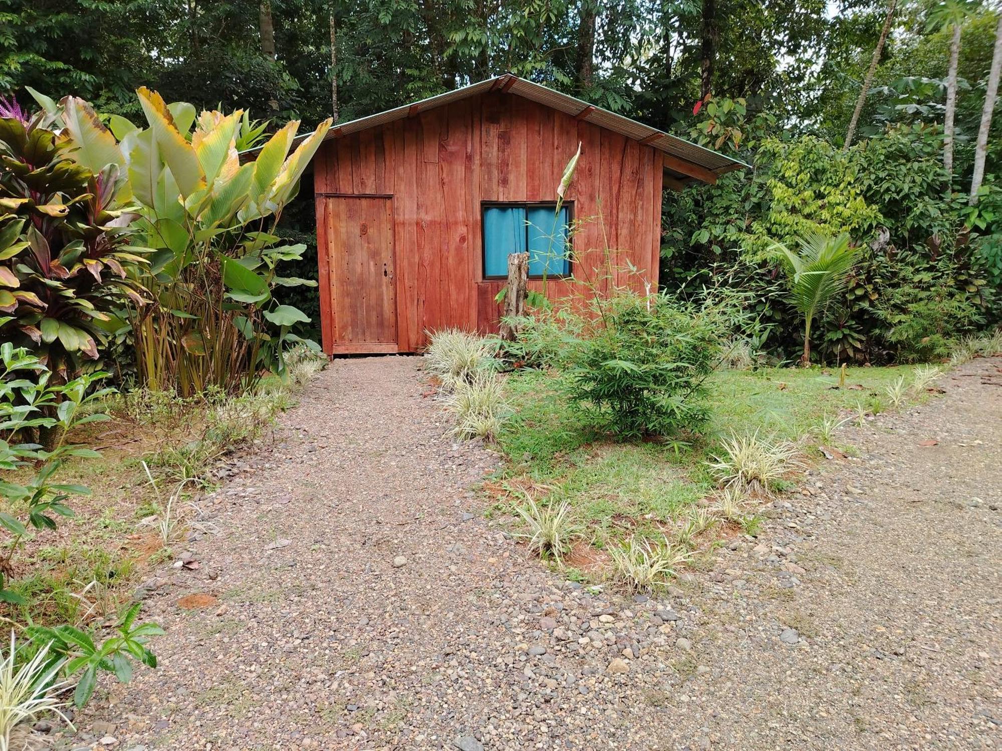 Citronela Lodge Corcovado Drakes Bay Eksteriør bilde