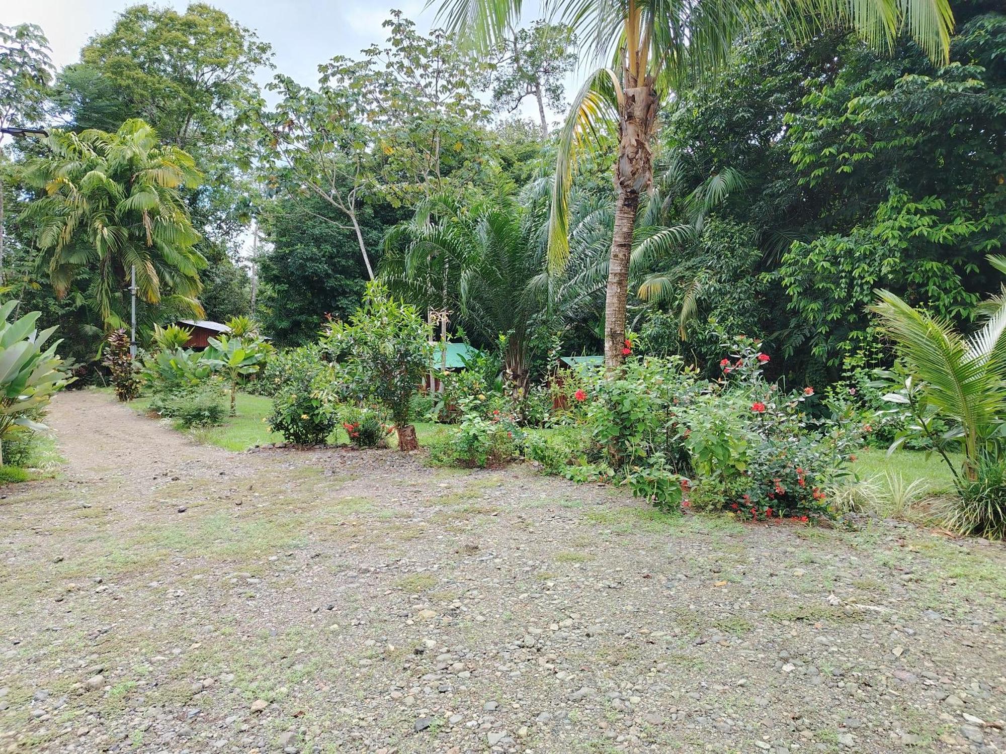 Citronela Lodge Corcovado Drakes Bay Eksteriør bilde