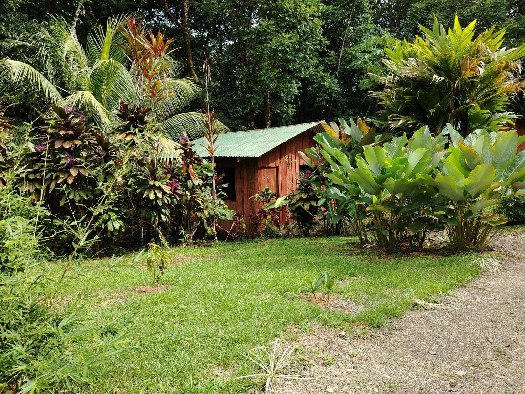 Citronela Lodge Corcovado Drakes Bay Eksteriør bilde