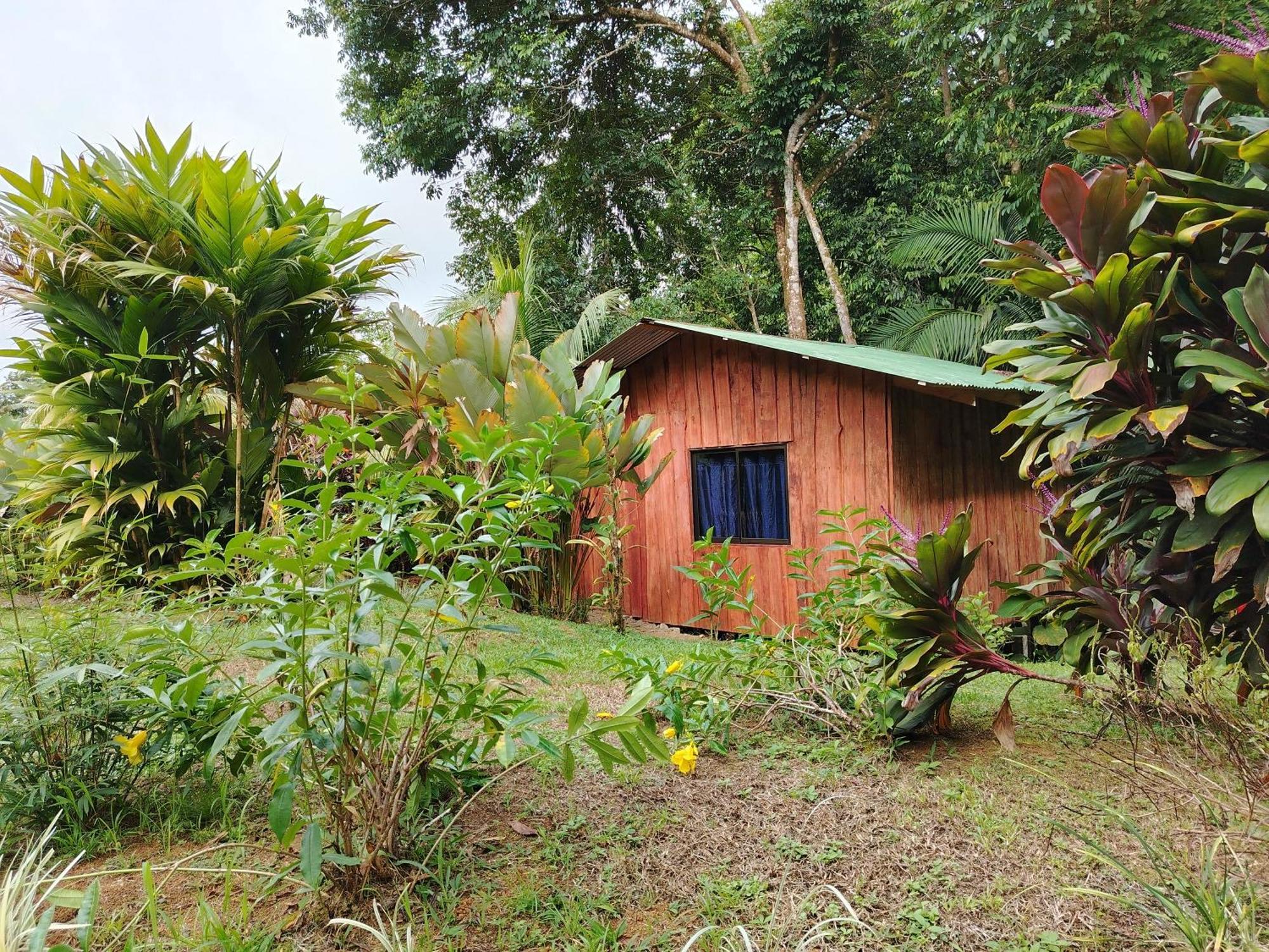 Citronela Lodge Corcovado Drakes Bay Eksteriør bilde