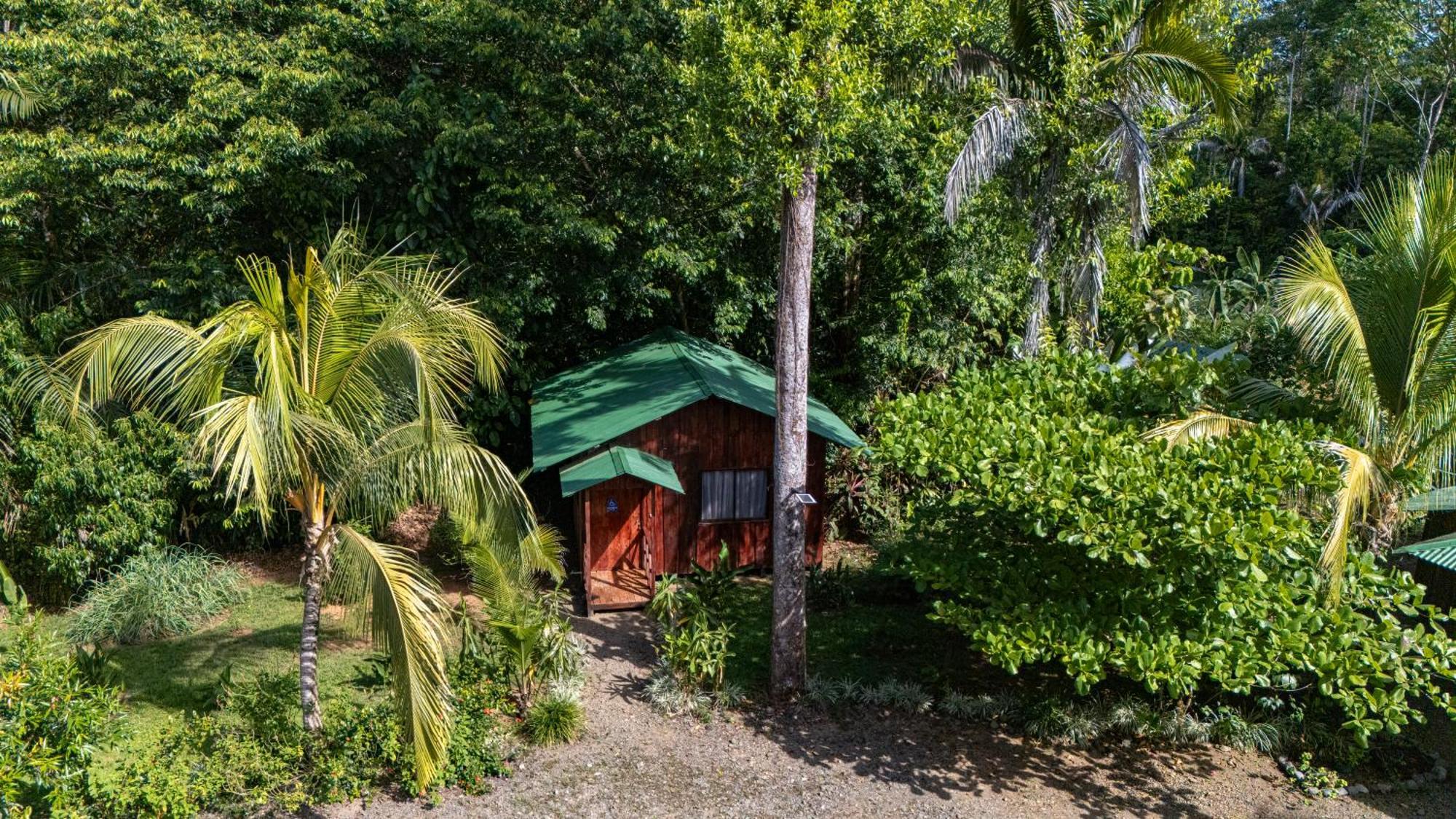 Citronela Lodge Corcovado Drakes Bay Eksteriør bilde