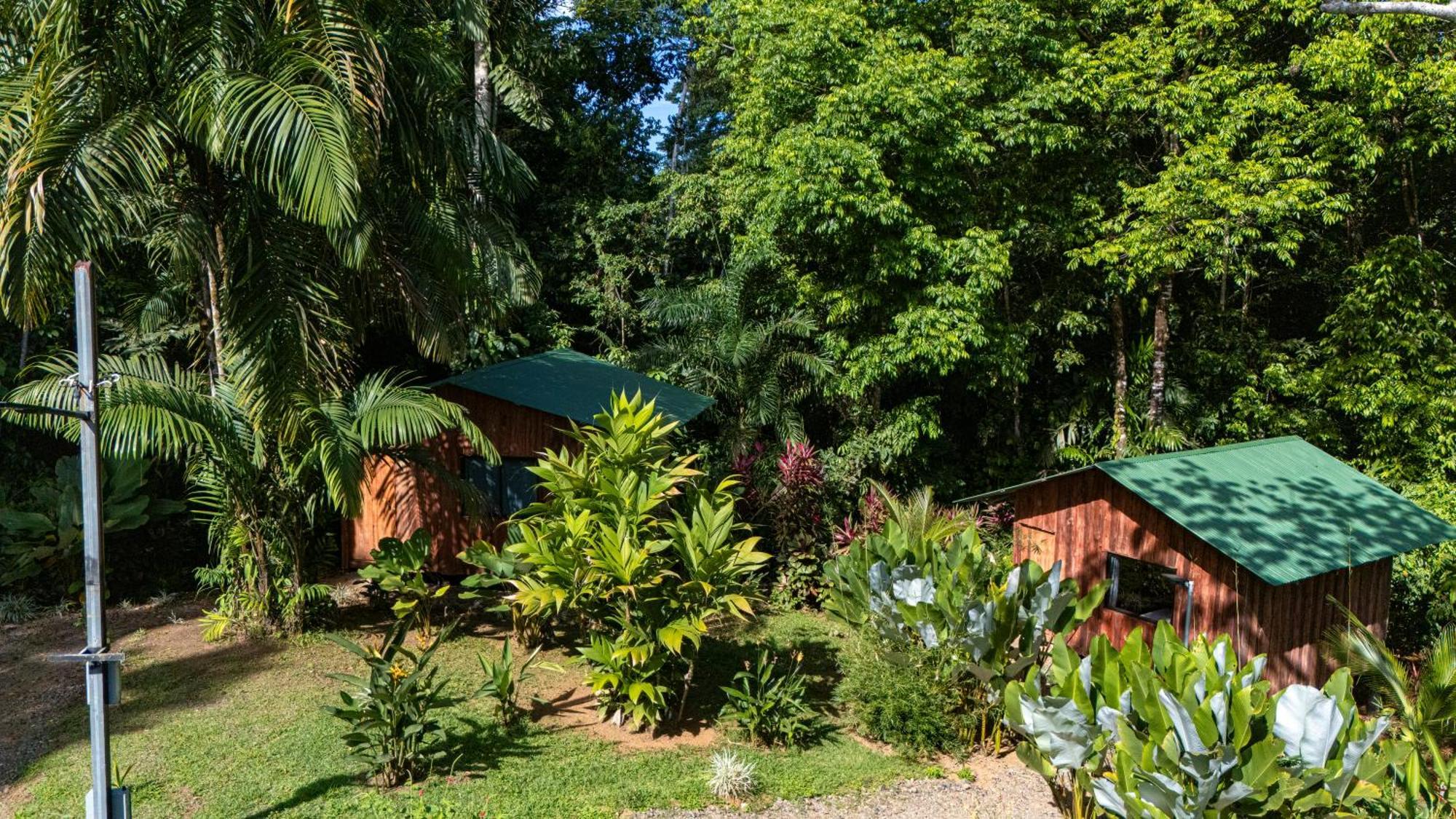 Citronela Lodge Corcovado Drakes Bay Eksteriør bilde