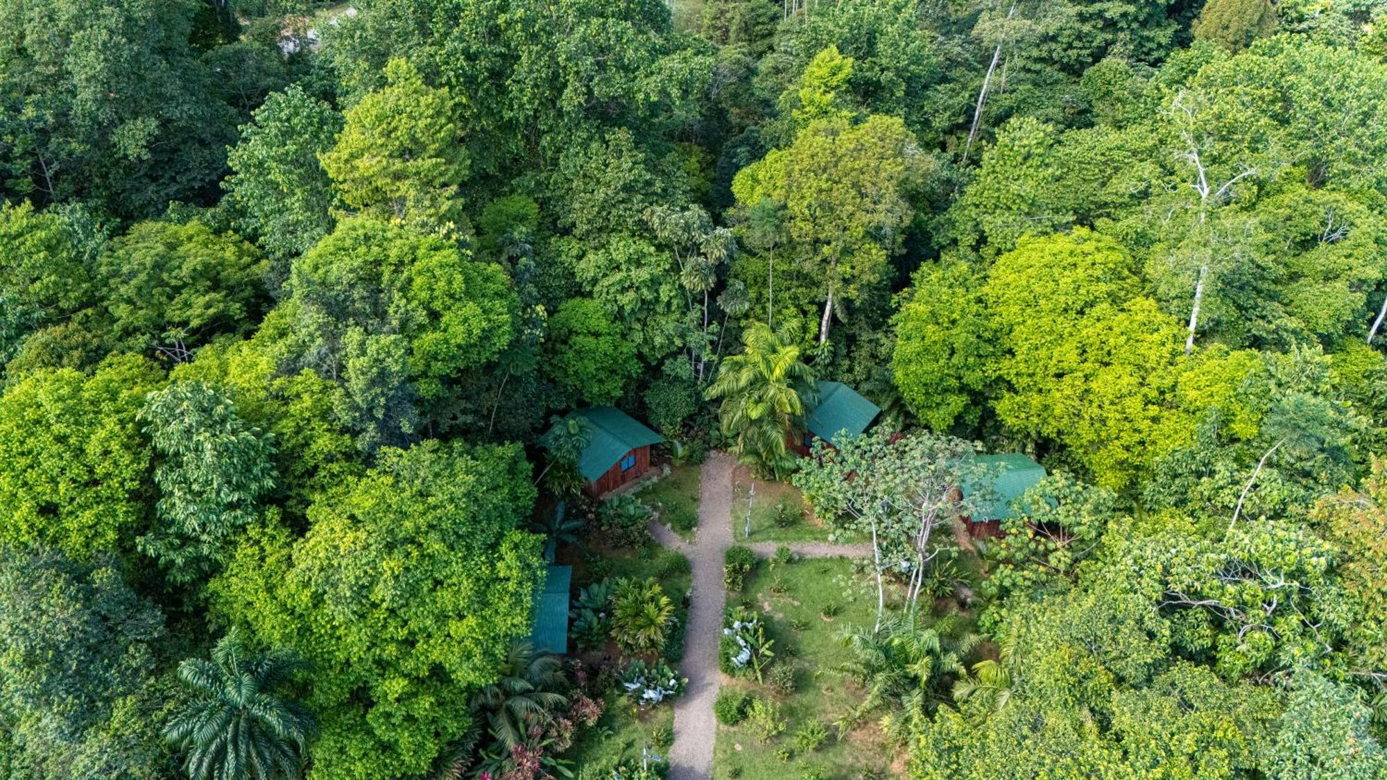 Citronela Lodge Corcovado Drakes Bay Eksteriør bilde