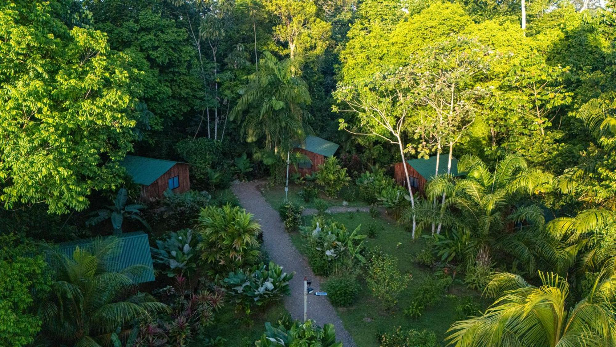 Citronela Lodge Corcovado Drakes Bay Eksteriør bilde