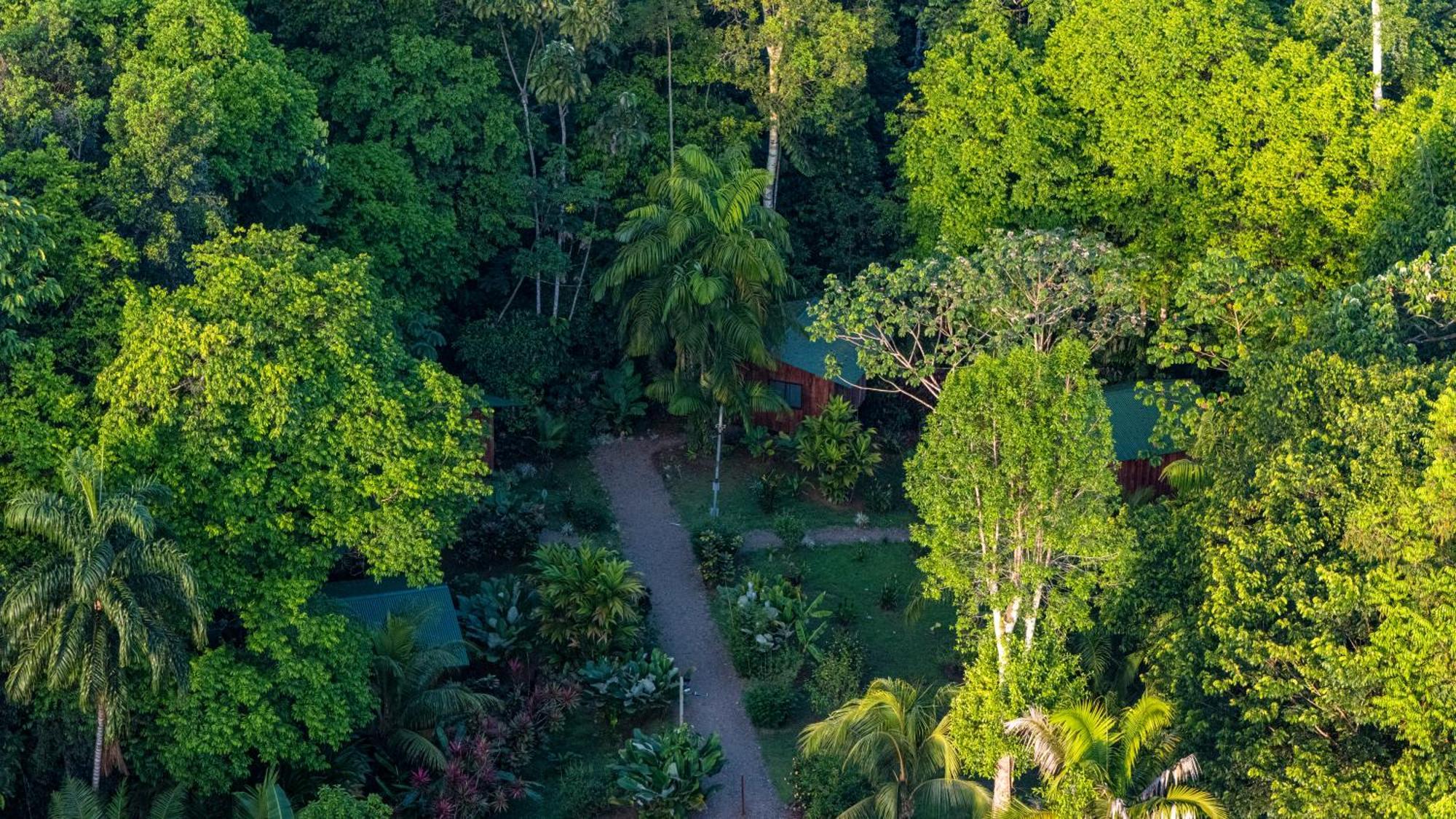 Citronela Lodge Corcovado Drakes Bay Eksteriør bilde