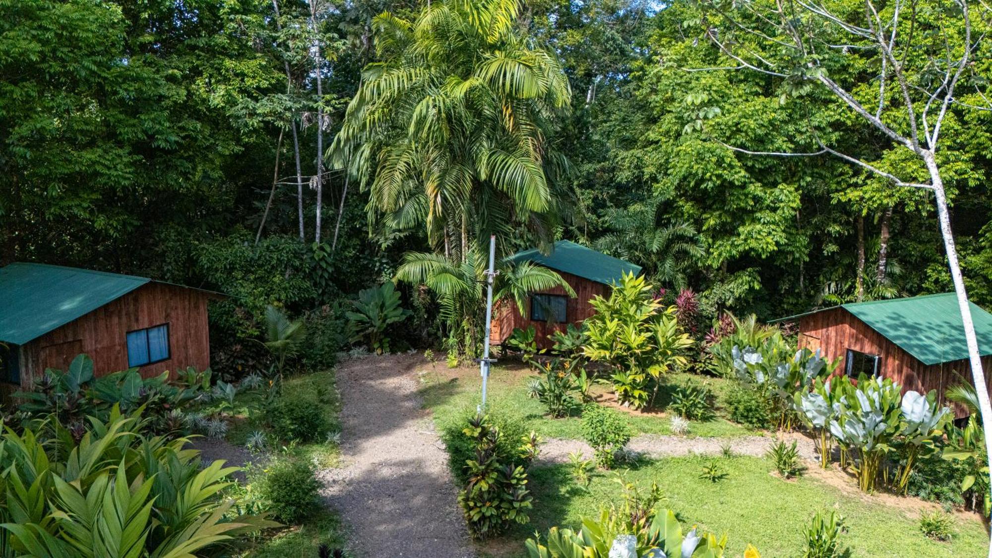 Citronela Lodge Corcovado Drakes Bay Eksteriør bilde