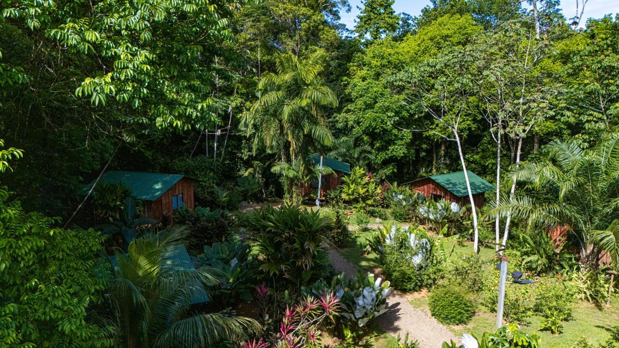 Citronela Lodge Corcovado Drakes Bay Eksteriør bilde