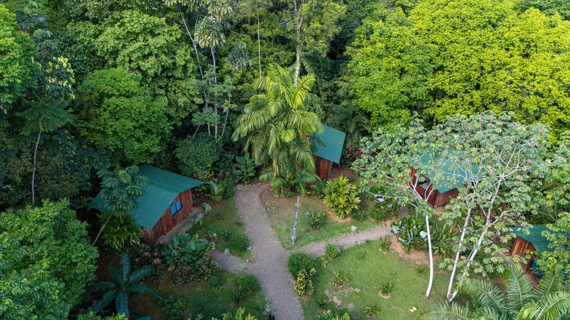 Citronela Lodge Corcovado Drakes Bay Eksteriør bilde
