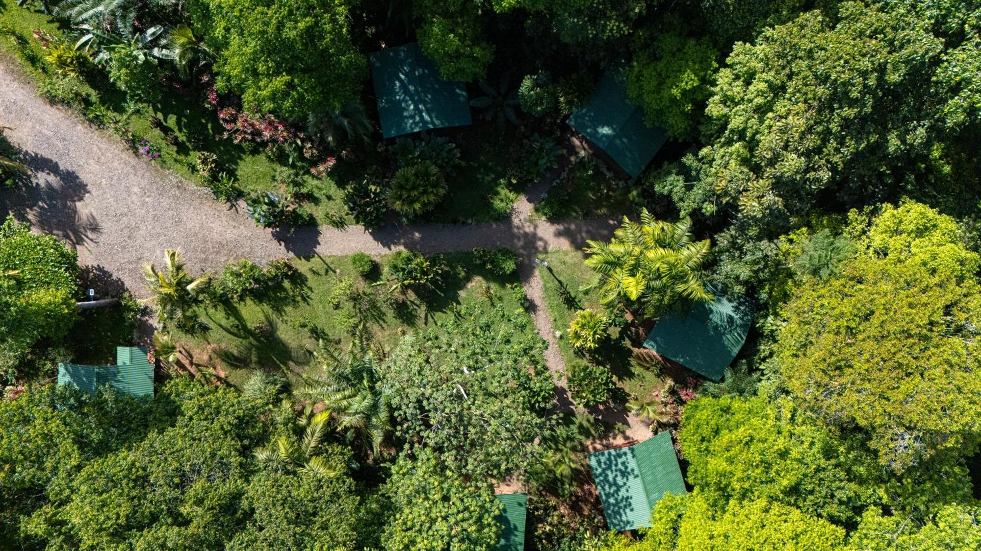 Citronela Lodge Corcovado Drakes Bay Eksteriør bilde