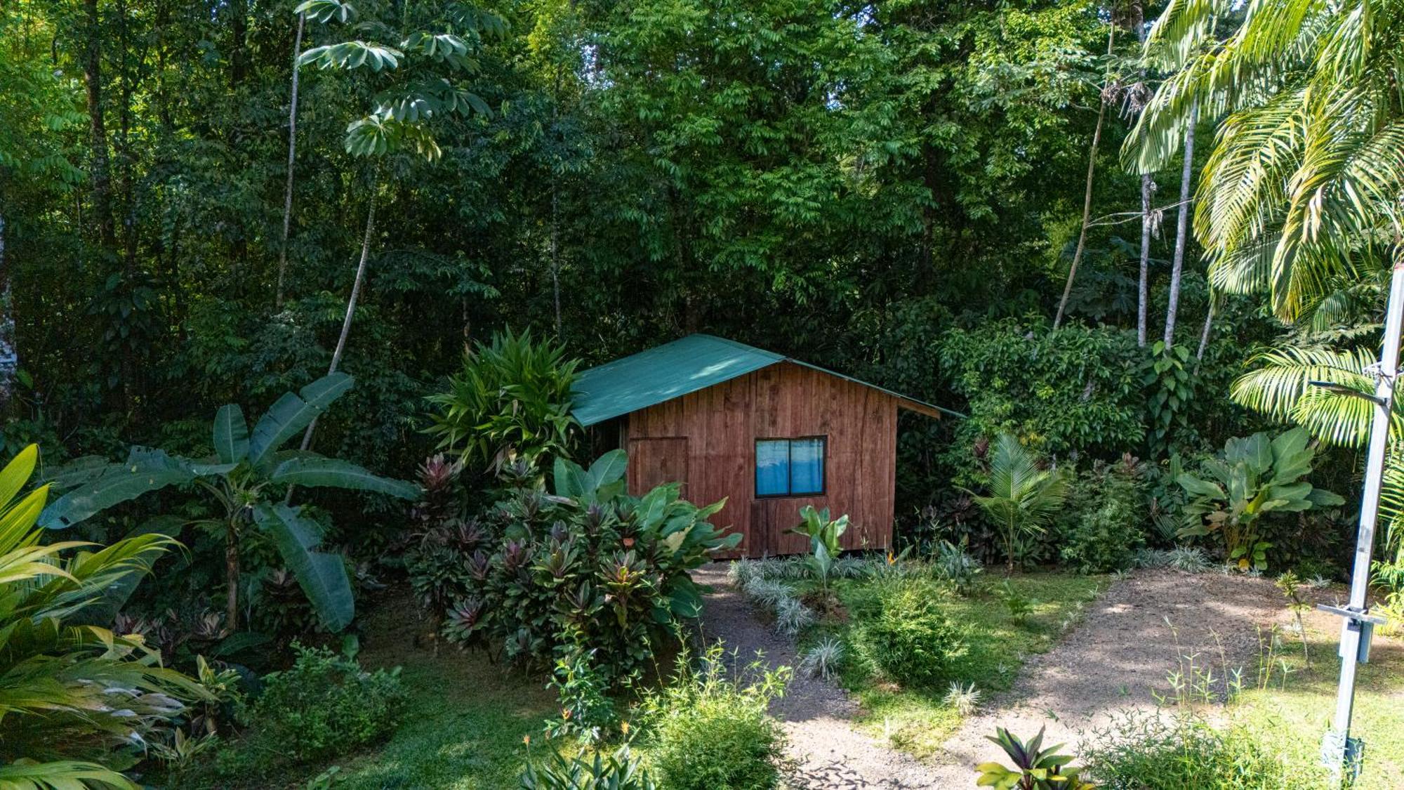Citronela Lodge Corcovado Drakes Bay Eksteriør bilde