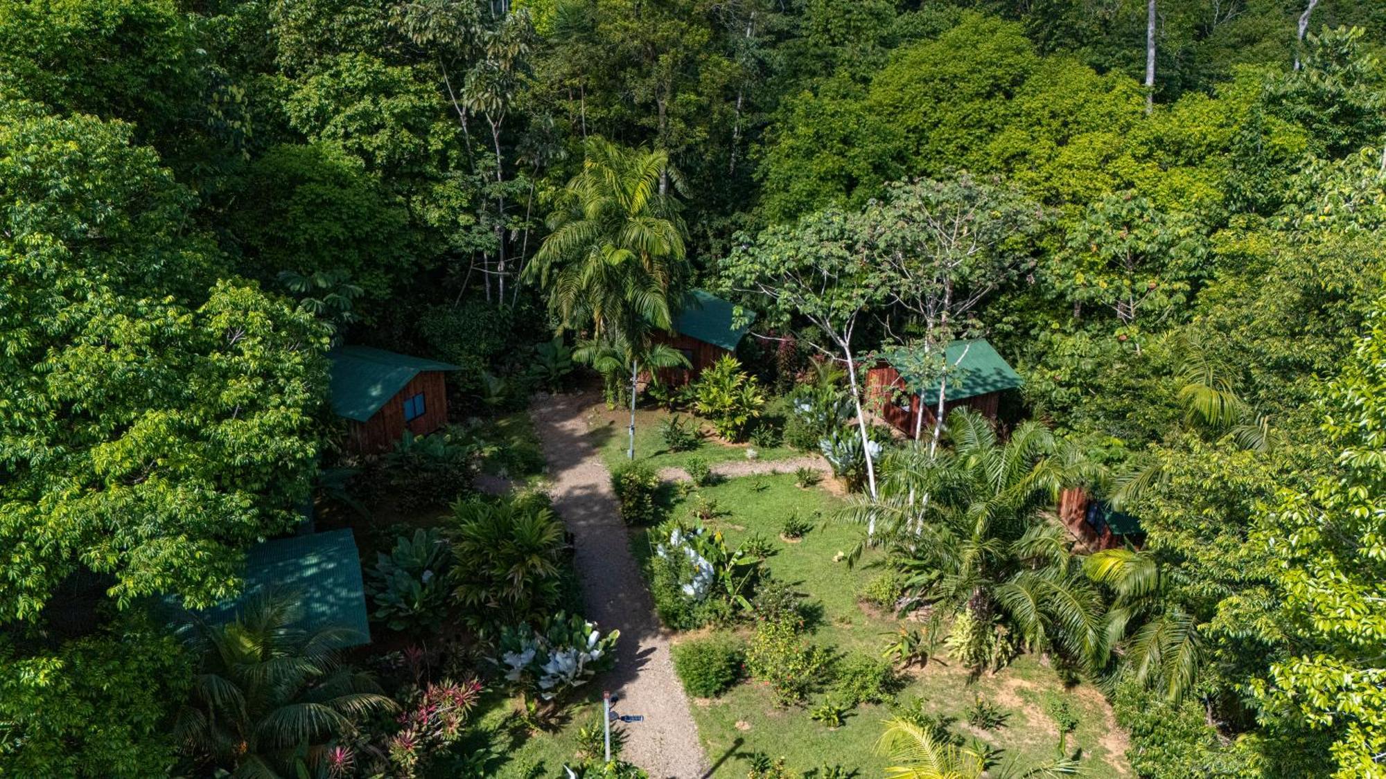 Citronela Lodge Corcovado Drakes Bay Eksteriør bilde