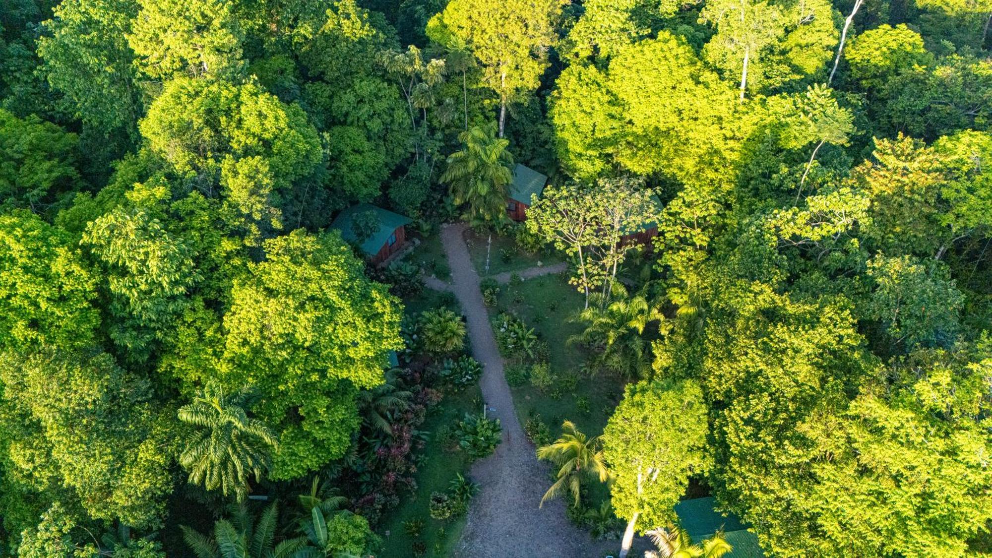 Citronela Lodge Corcovado Drakes Bay Eksteriør bilde