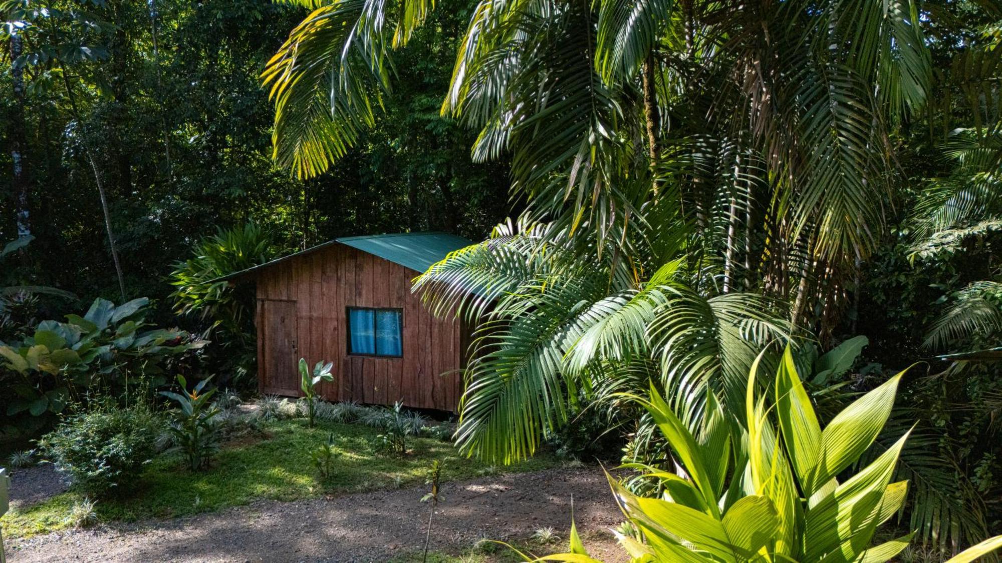 Citronela Lodge Corcovado Drakes Bay Eksteriør bilde
