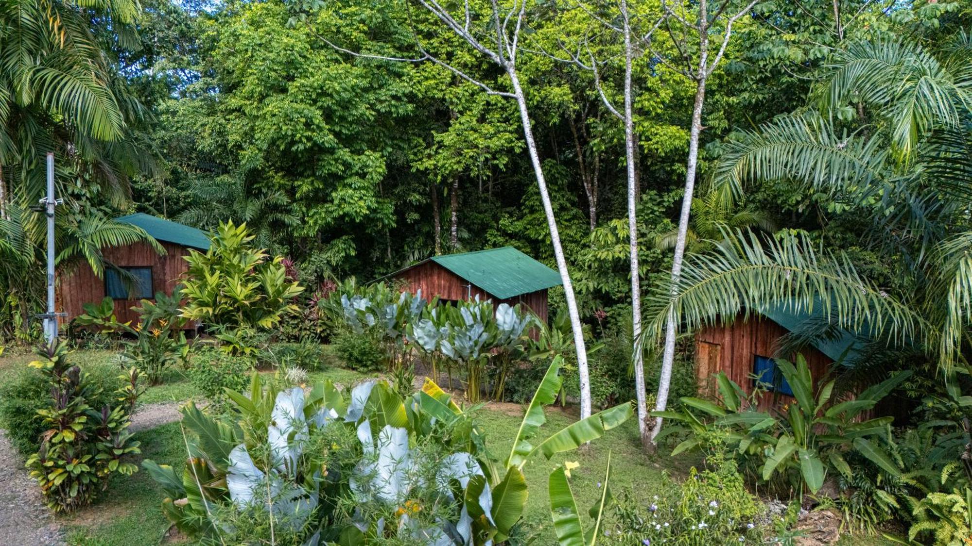 Citronela Lodge Corcovado Drakes Bay Eksteriør bilde