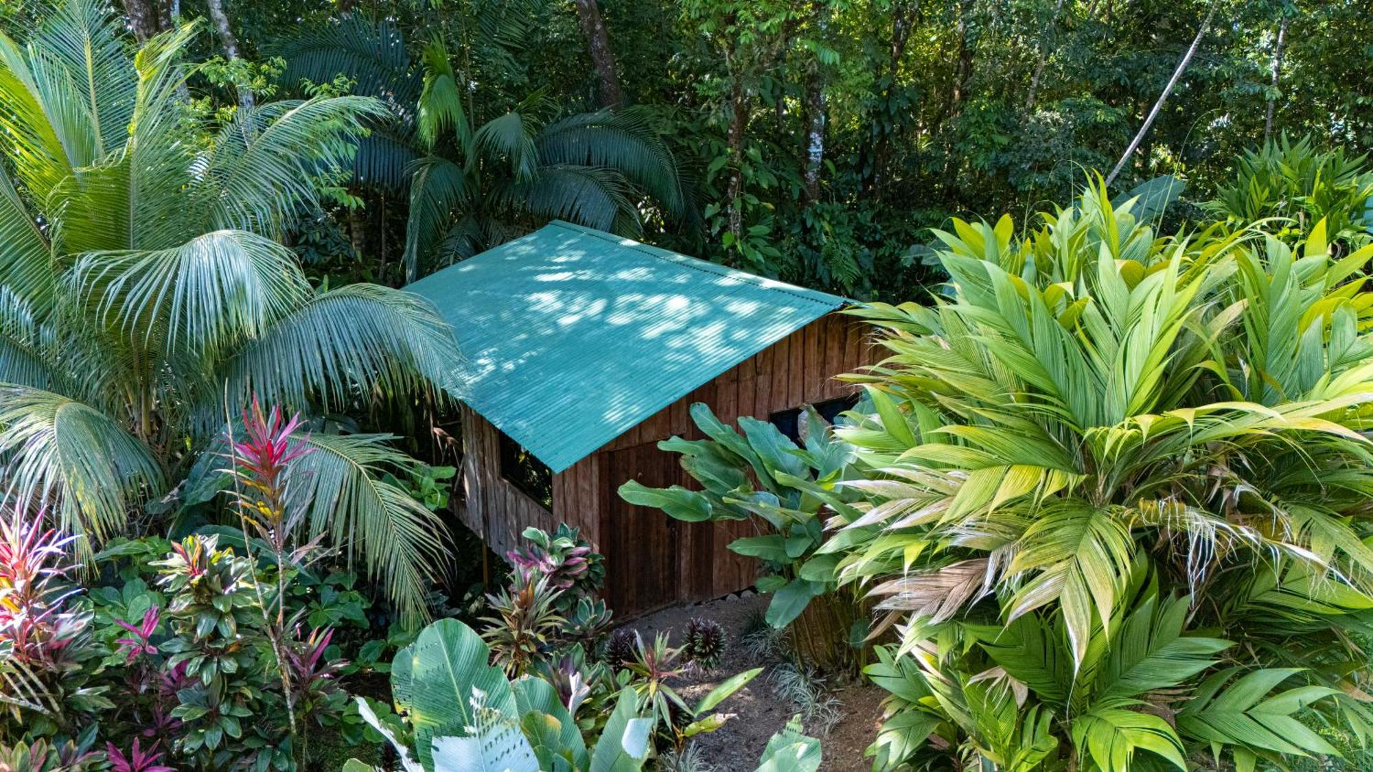 Citronela Lodge Corcovado Drakes Bay Eksteriør bilde