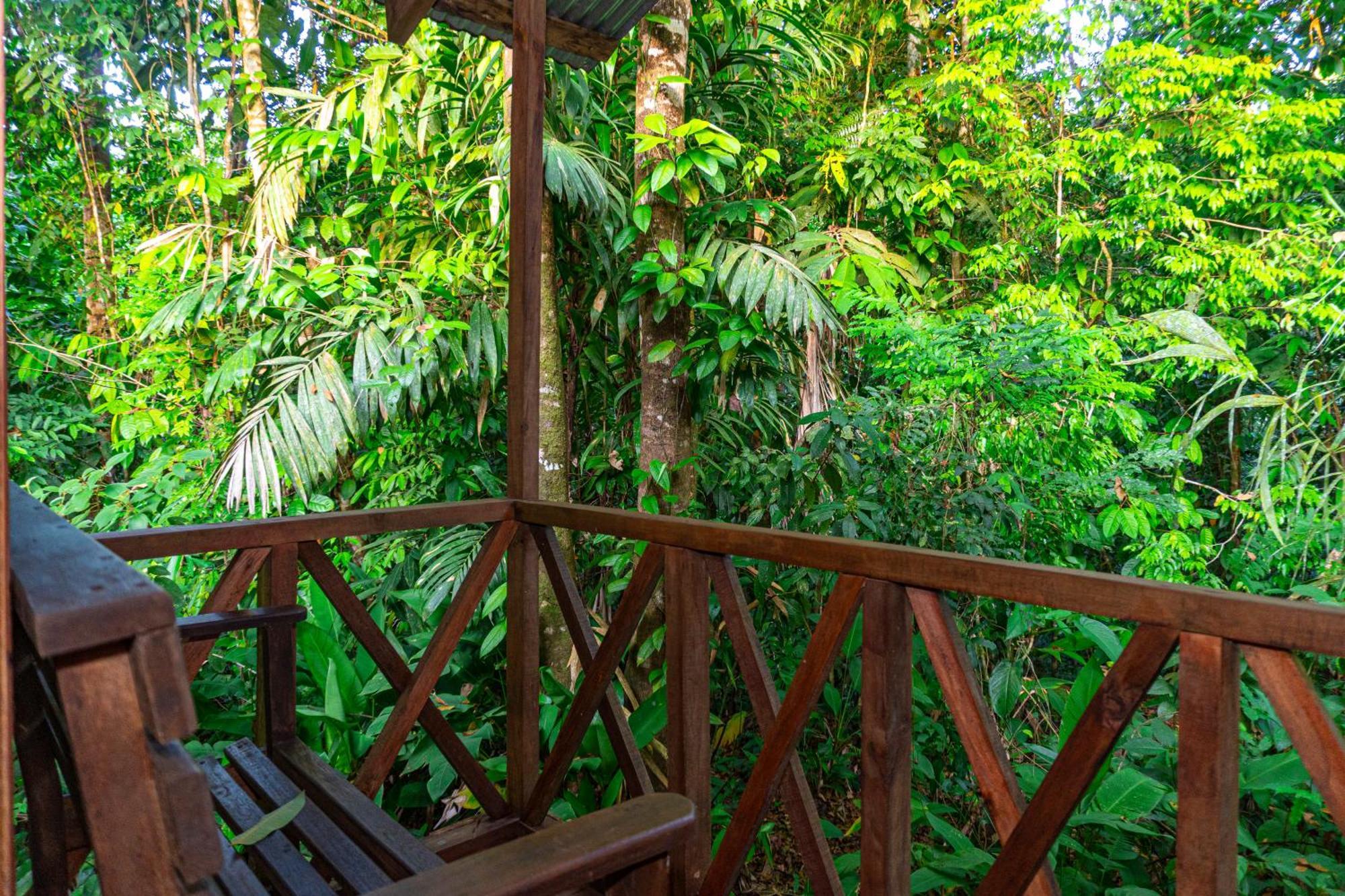 Citronela Lodge Corcovado Drakes Bay Eksteriør bilde
