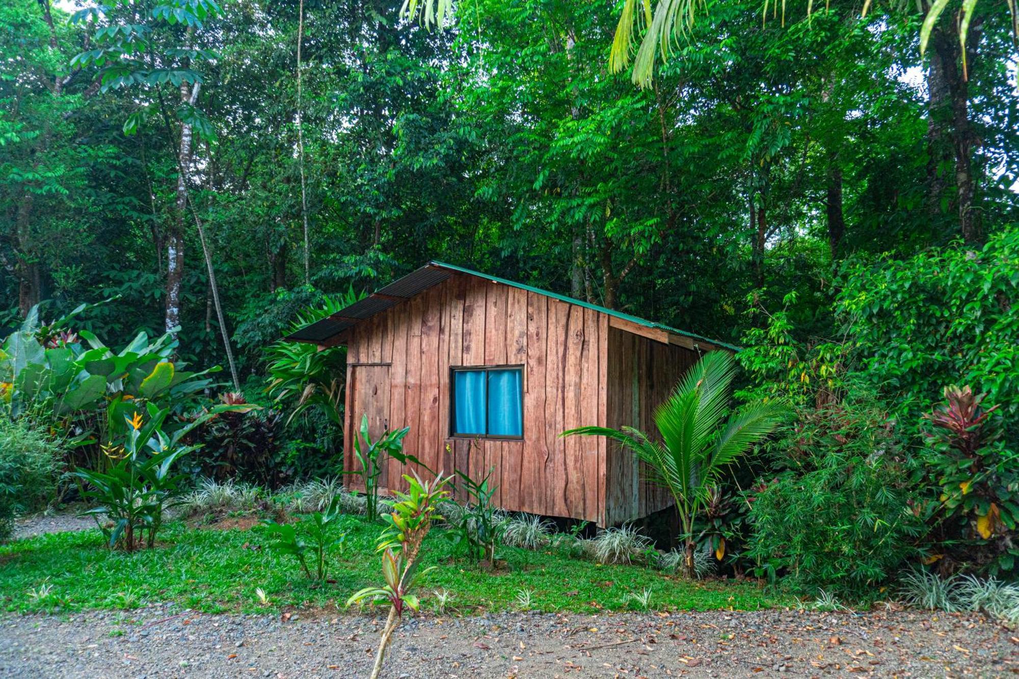 Citronela Lodge Corcovado Drakes Bay Eksteriør bilde