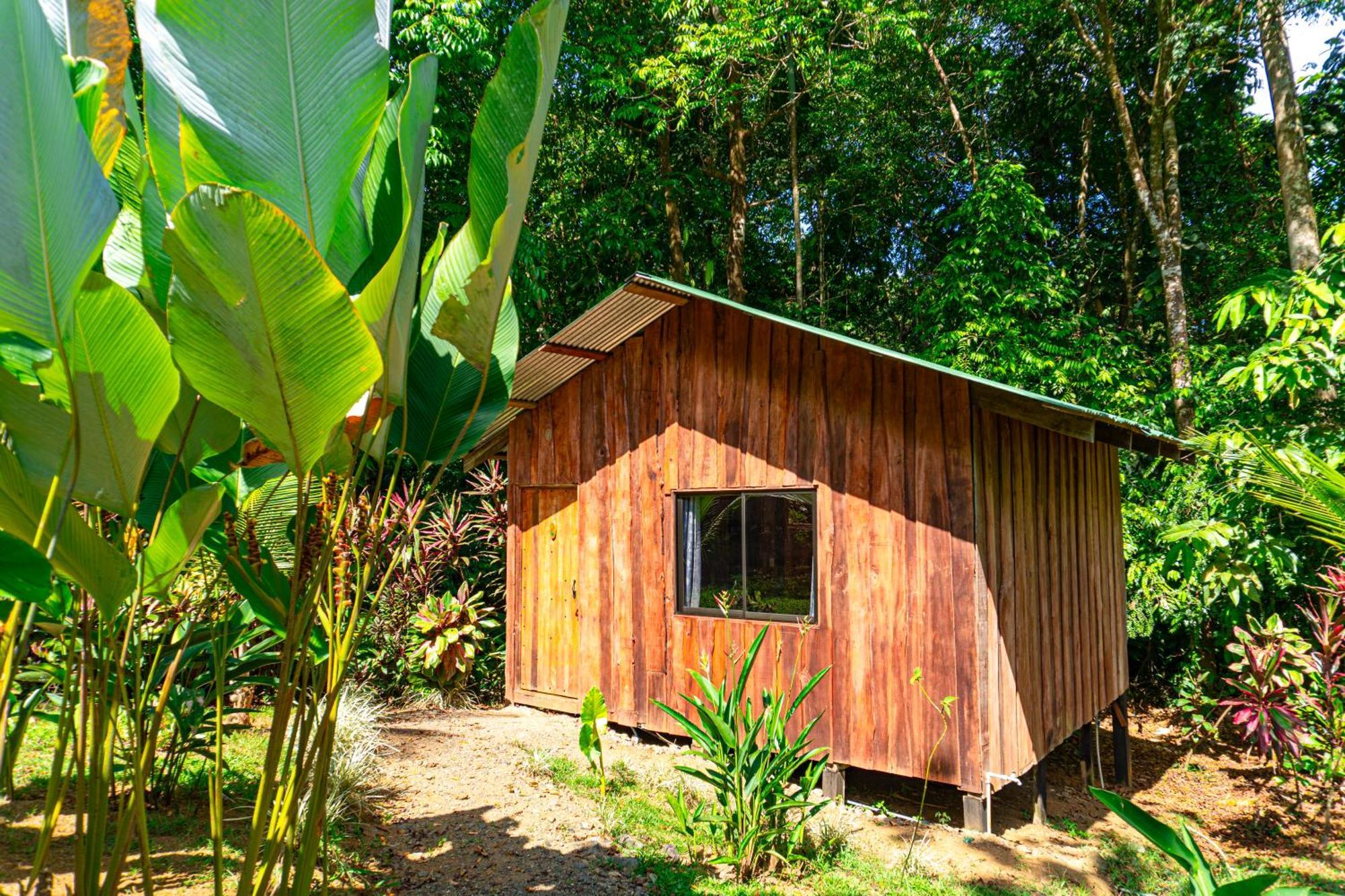 Citronela Lodge Corcovado Drakes Bay Eksteriør bilde