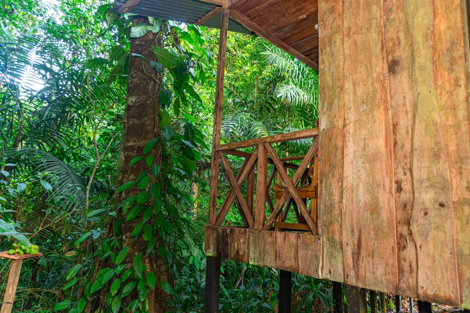 Citronela Lodge Corcovado Drakes Bay Eksteriør bilde