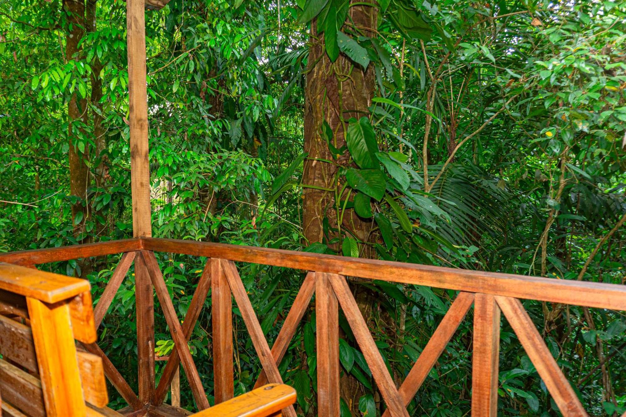 Citronela Lodge Corcovado Drakes Bay Eksteriør bilde