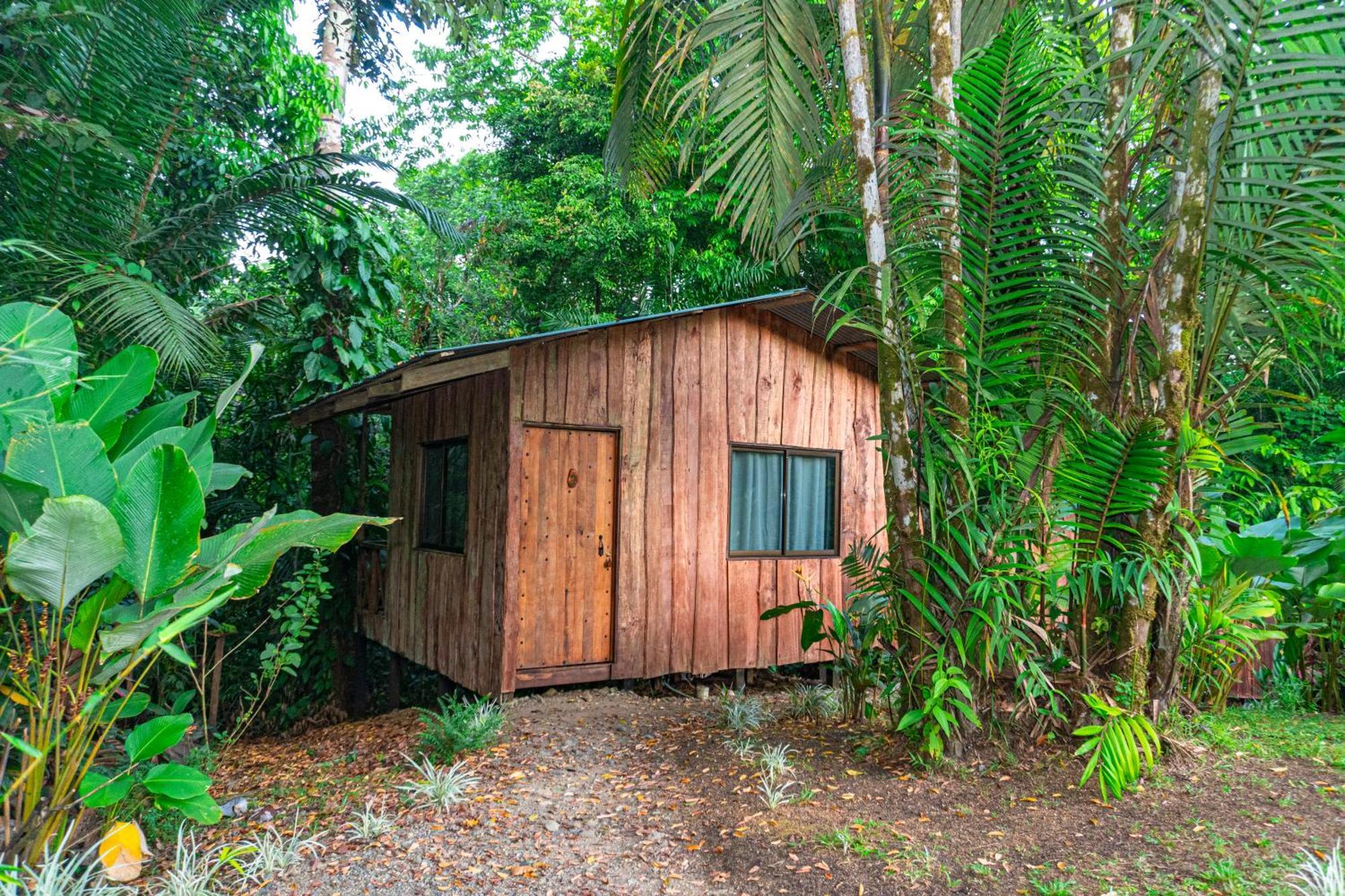 Citronela Lodge Corcovado Drakes Bay Eksteriør bilde