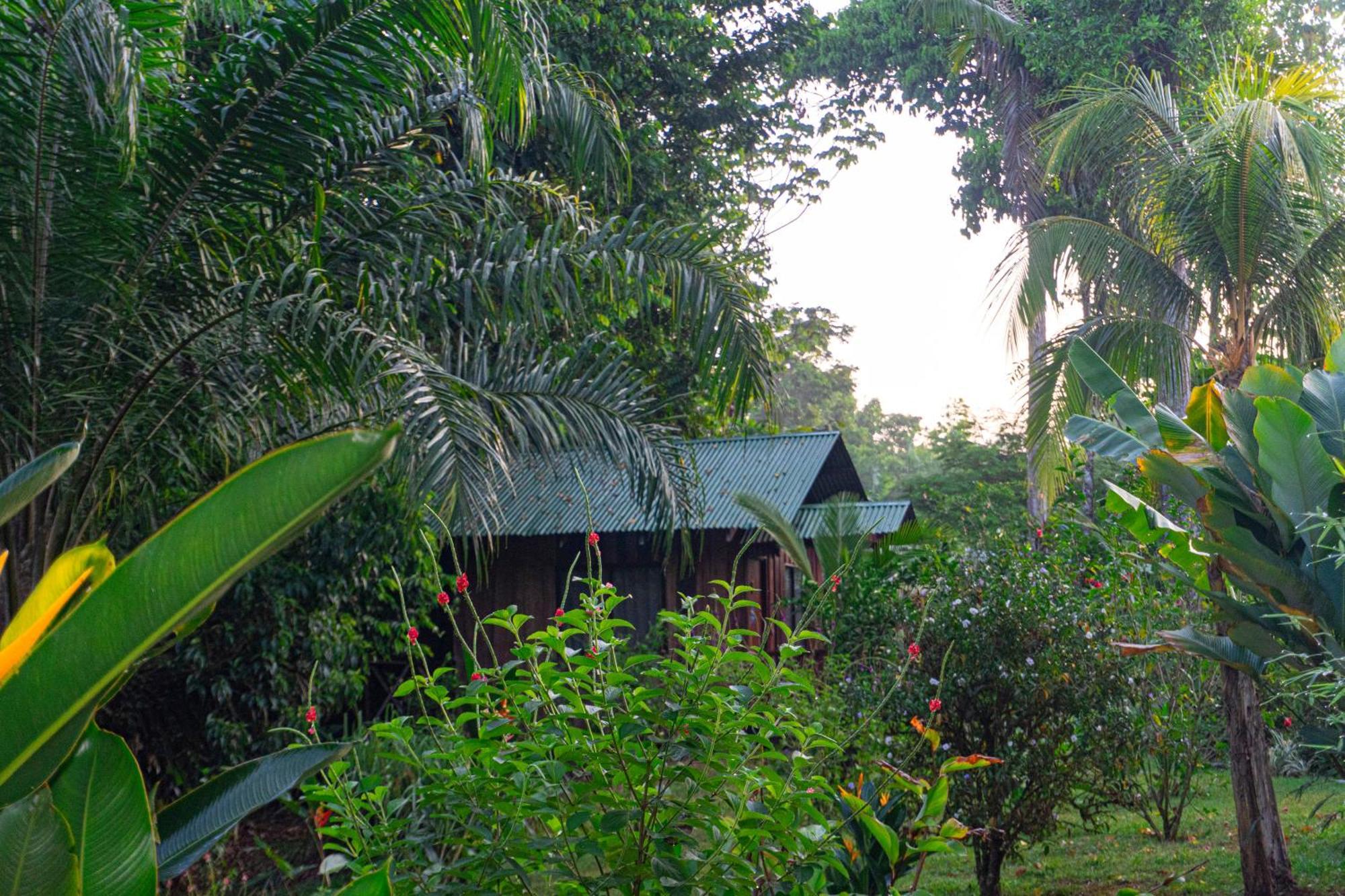 Citronela Lodge Corcovado Drakes Bay Eksteriør bilde