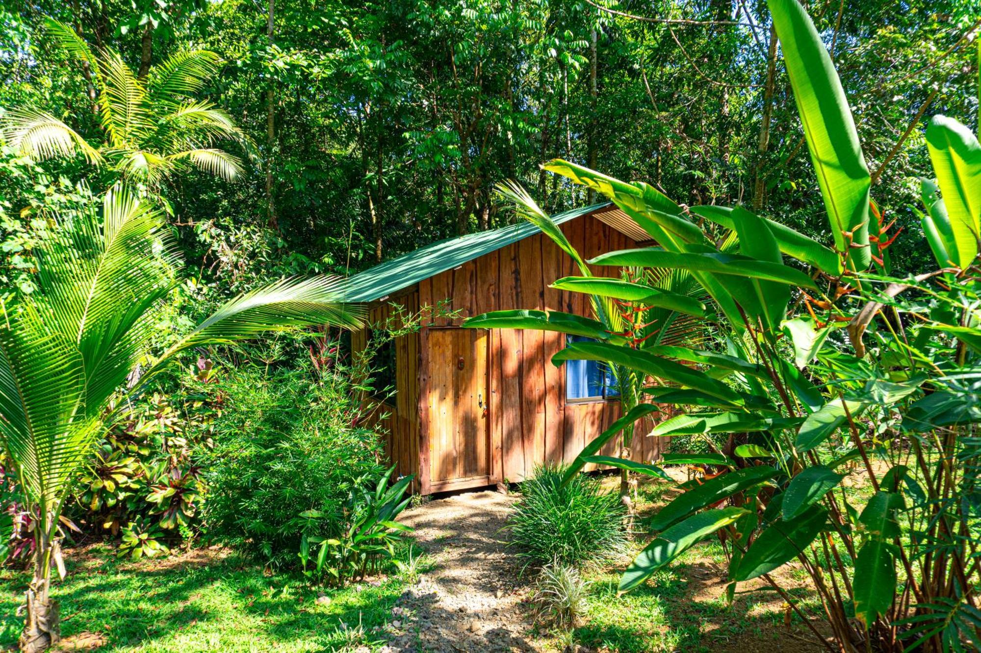 Citronela Lodge Corcovado Drakes Bay Eksteriør bilde