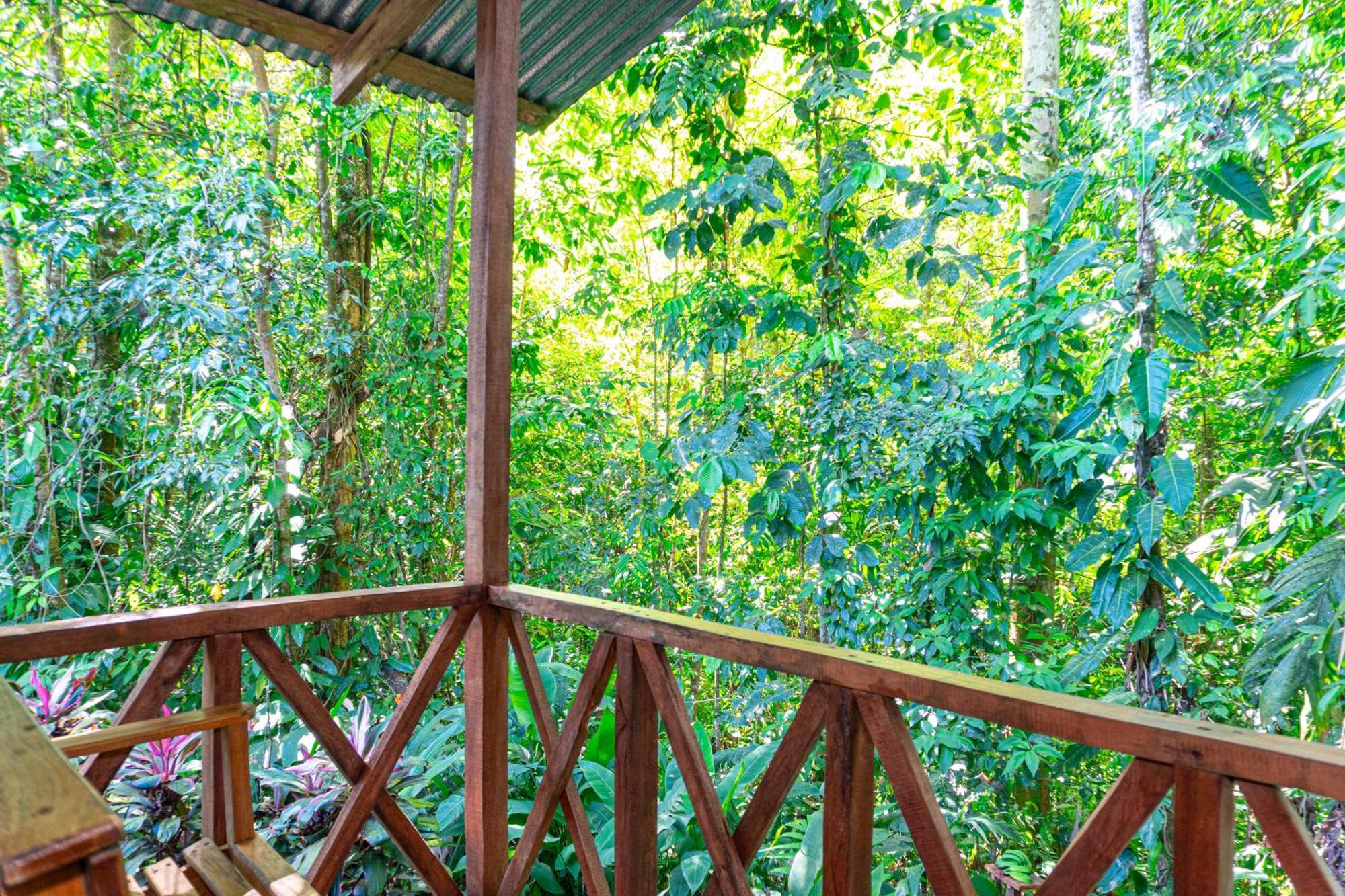 Citronela Lodge Corcovado Drakes Bay Eksteriør bilde