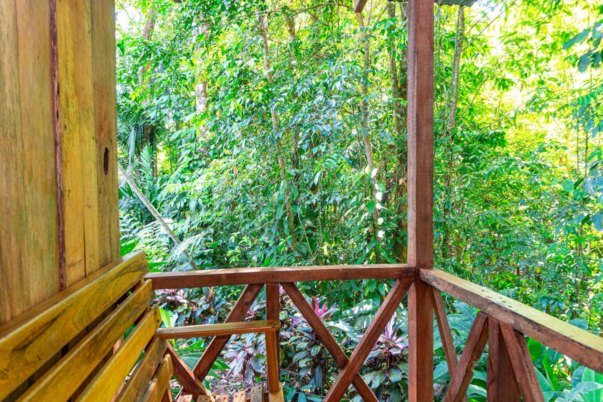 Citronela Lodge Corcovado Drakes Bay Eksteriør bilde