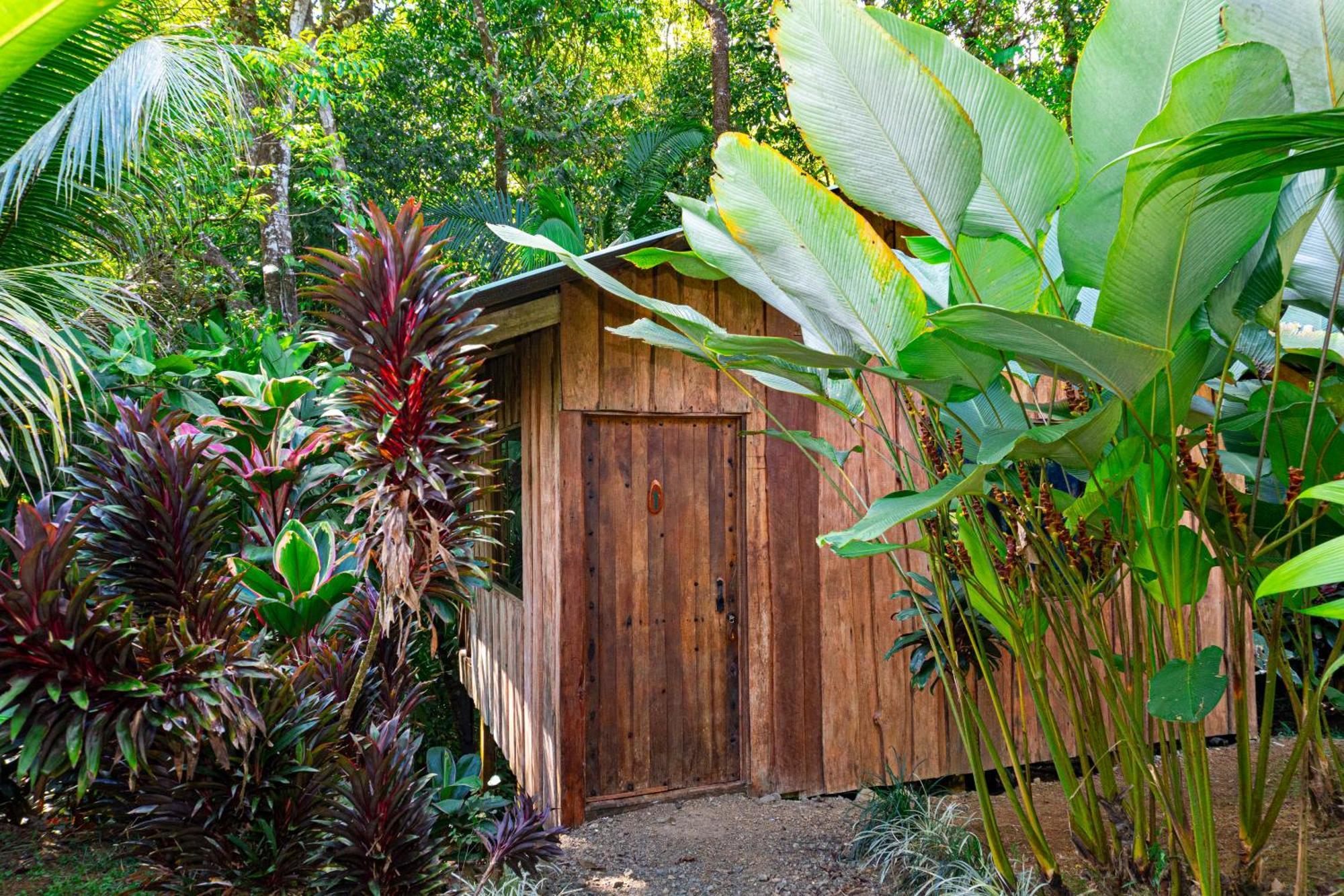 Citronela Lodge Corcovado Drakes Bay Eksteriør bilde