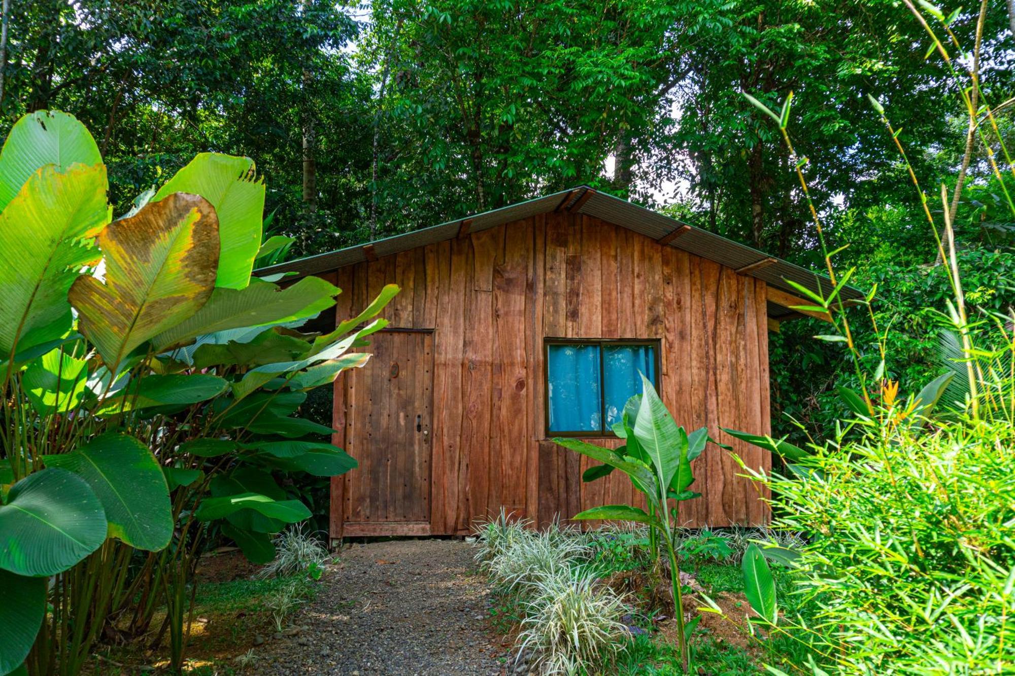 Citronela Lodge Corcovado Drakes Bay Eksteriør bilde