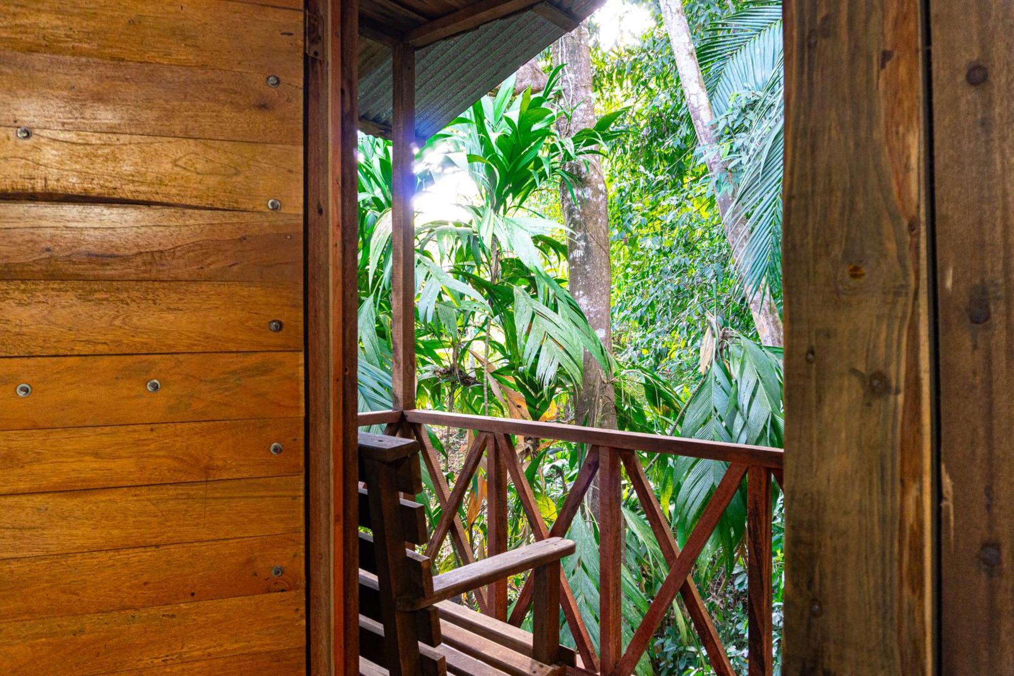 Citronela Lodge Corcovado Drakes Bay Eksteriør bilde