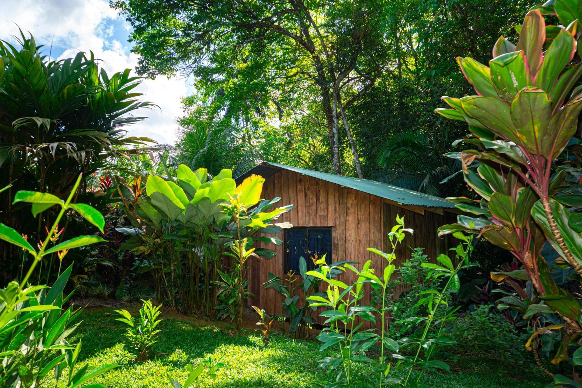 Citronela Lodge Corcovado Drakes Bay Eksteriør bilde