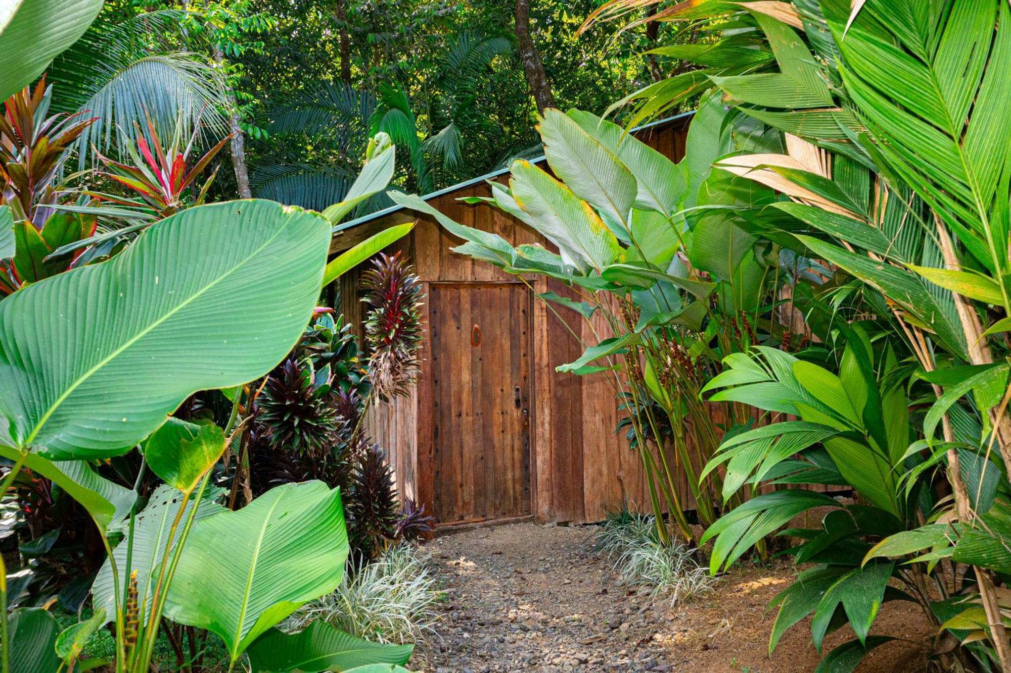 Citronela Lodge Corcovado Drakes Bay Eksteriør bilde