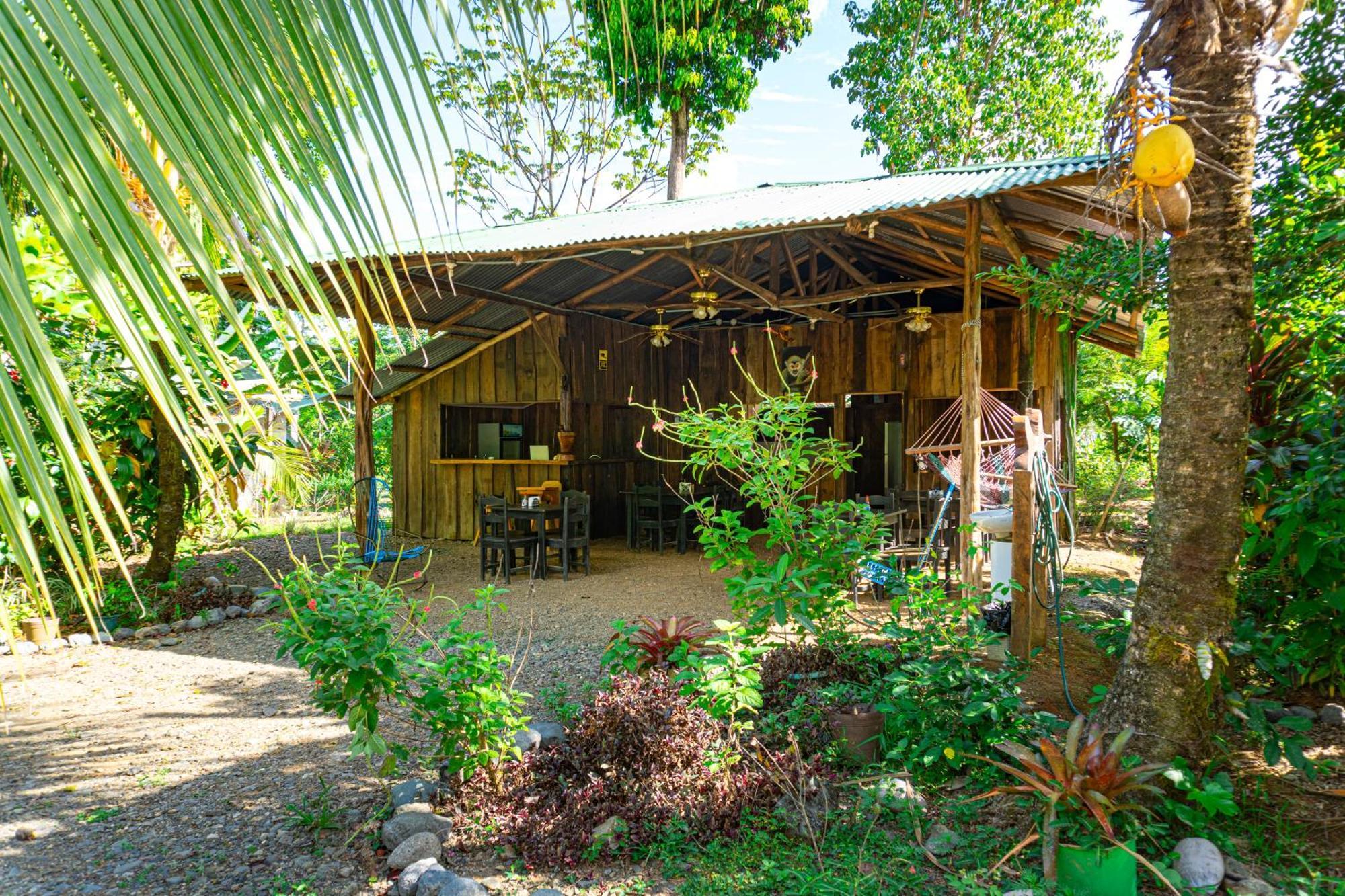 Citronela Lodge Corcovado Drakes Bay Eksteriør bilde