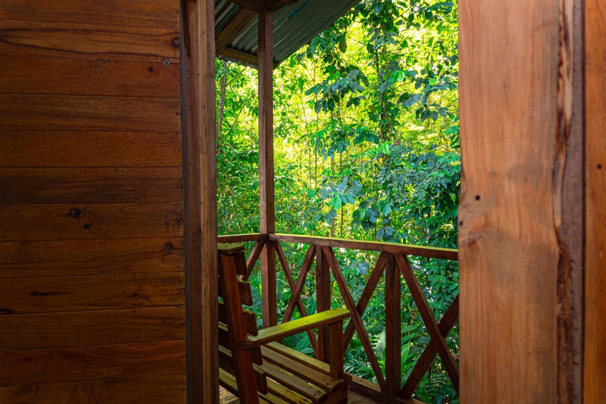 Citronela Lodge Corcovado Drakes Bay Eksteriør bilde