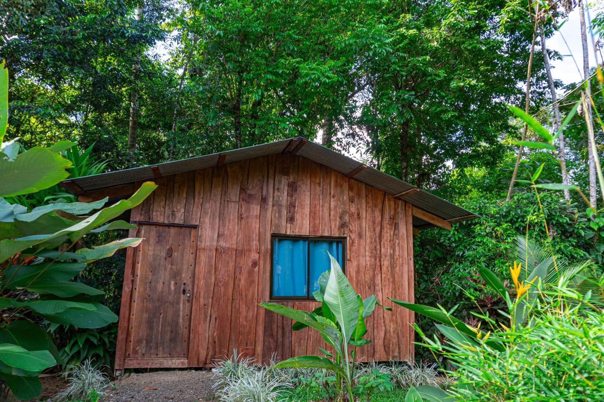 Citronela Lodge Corcovado Drakes Bay Eksteriør bilde