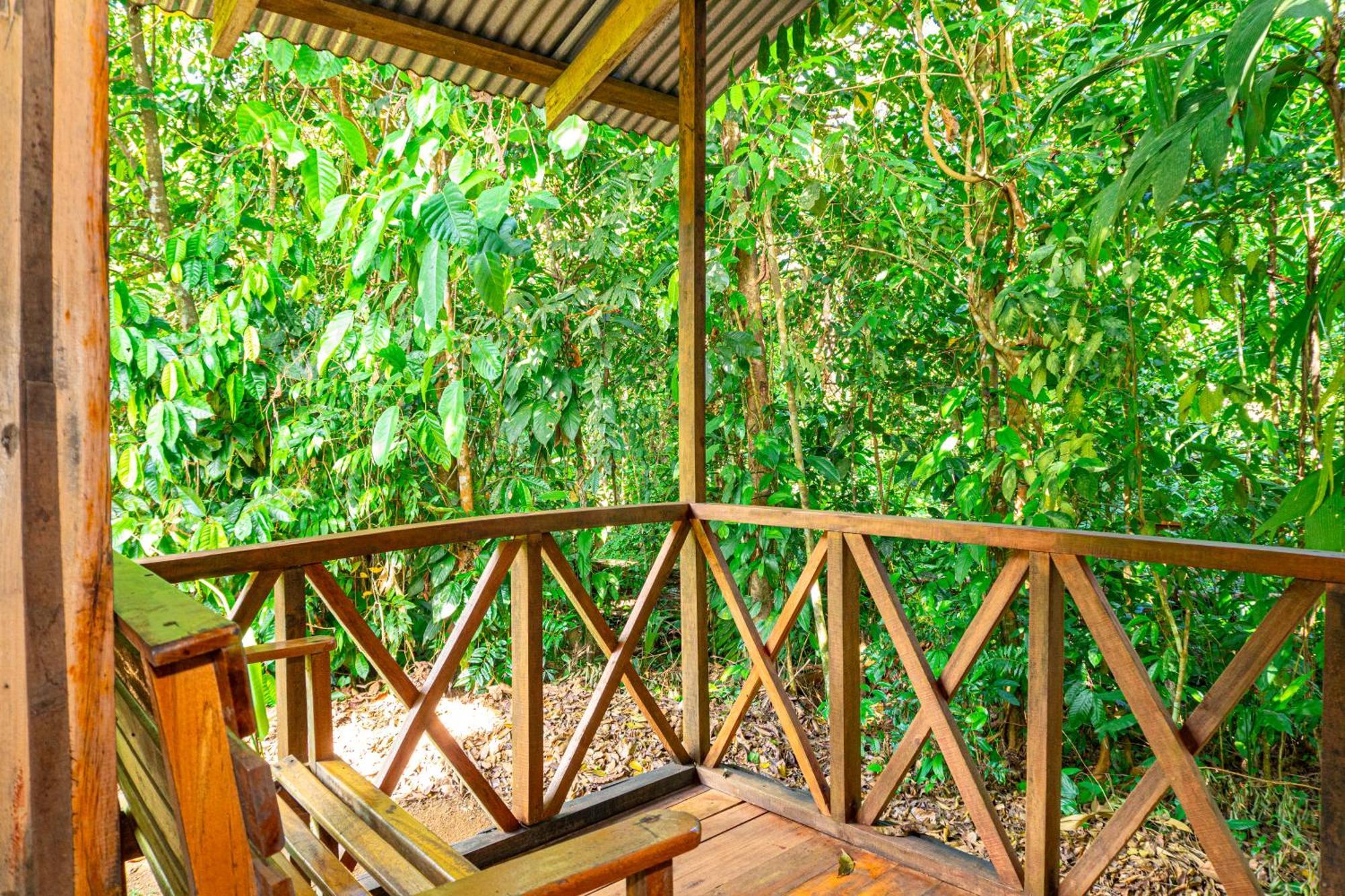 Citronela Lodge Corcovado Drakes Bay Eksteriør bilde